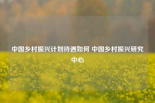 中国乡村振兴计划待遇如何 中国乡村振兴研究中心